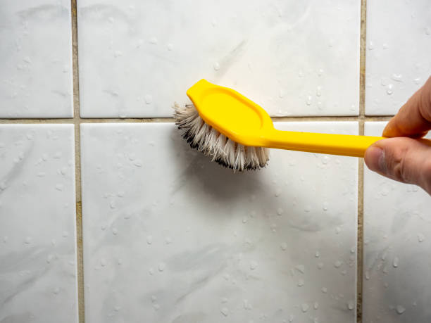 Best Mold Testing and Removal  in Yorkshire, VA