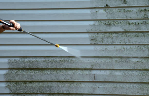 Best Mold Remediation  in Yorkshire, VA