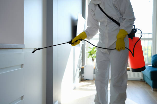 Office Mold Removal Services in Yorkshire, VA