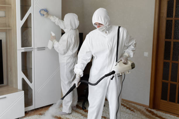 Certified Mold Removal in Yorkshire, VA