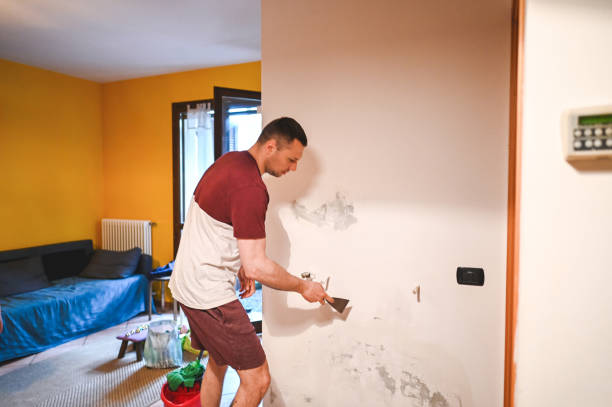 Home Mold Removal in Yorkshire, VA