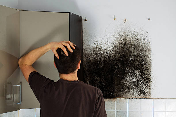 Best Local Mold Removal Service  in Yorkshire, VA